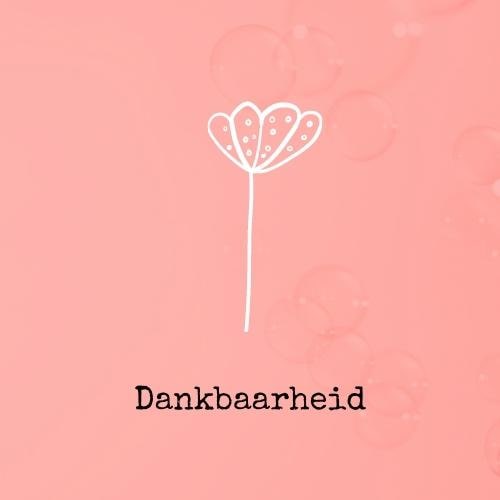 Dankbaarheid | One moment a day